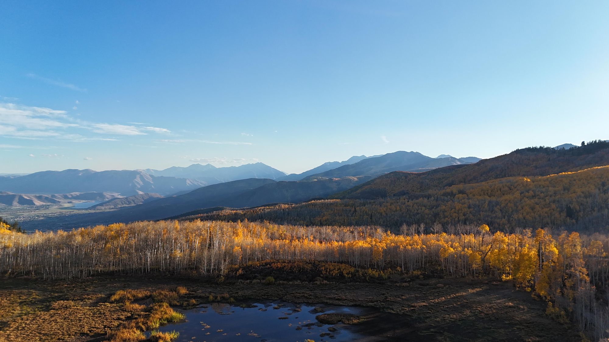 Aspen groves in fall color below a mountain range under a clear blue sky